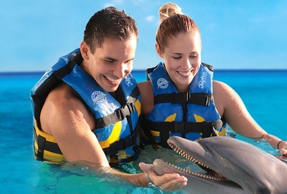 Tour Dolphins Isla Mujeres..